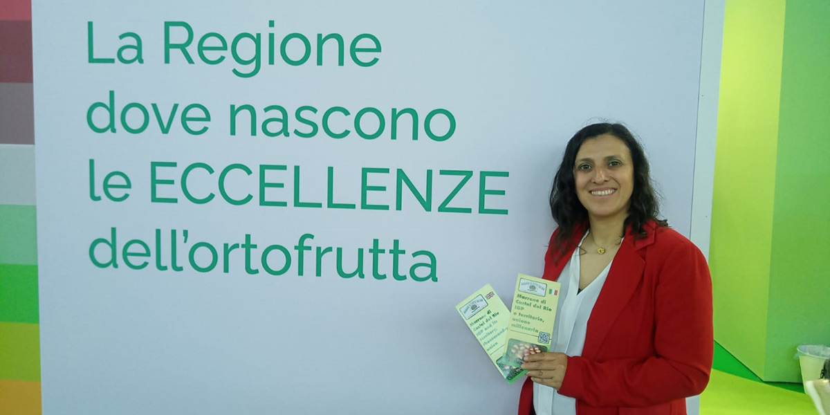 «Marrone di Castel del Rio Igp, ci prepariamo a una stagione di rilancio»